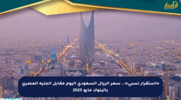«استقرار نسبي».. سعر الريال السعودي اليوم مقابل الجنيه المصري بالبنوك مايو 2025